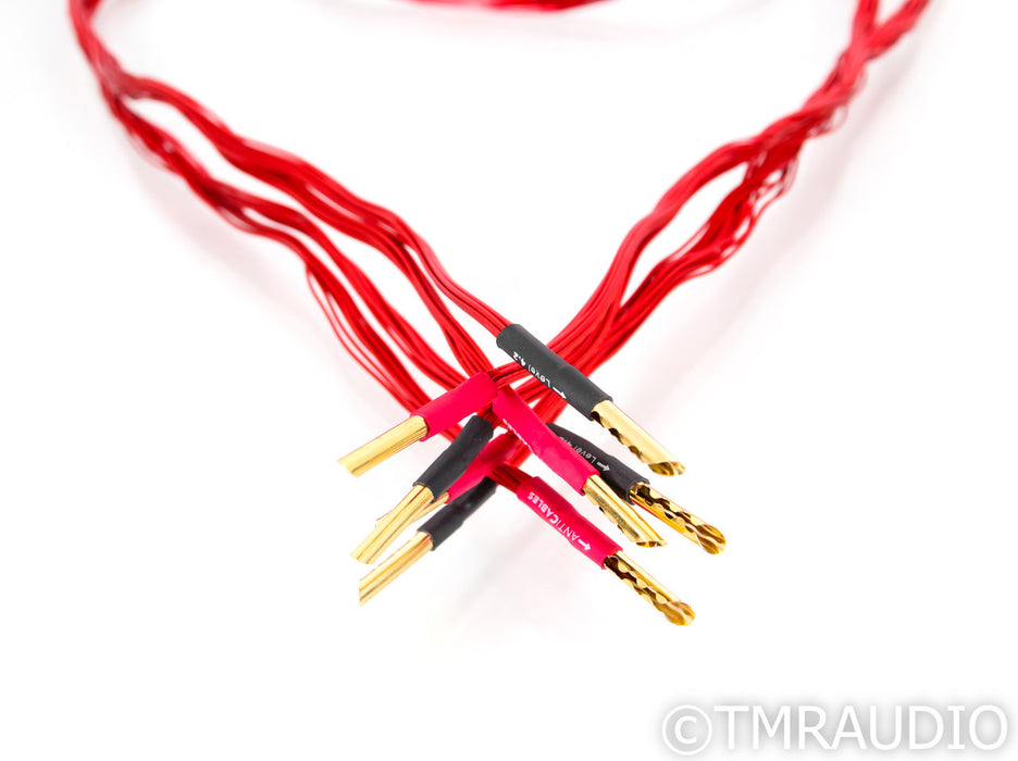 AntiCables Level 4.2 FLEX Speaker Cables; 6ft Pair