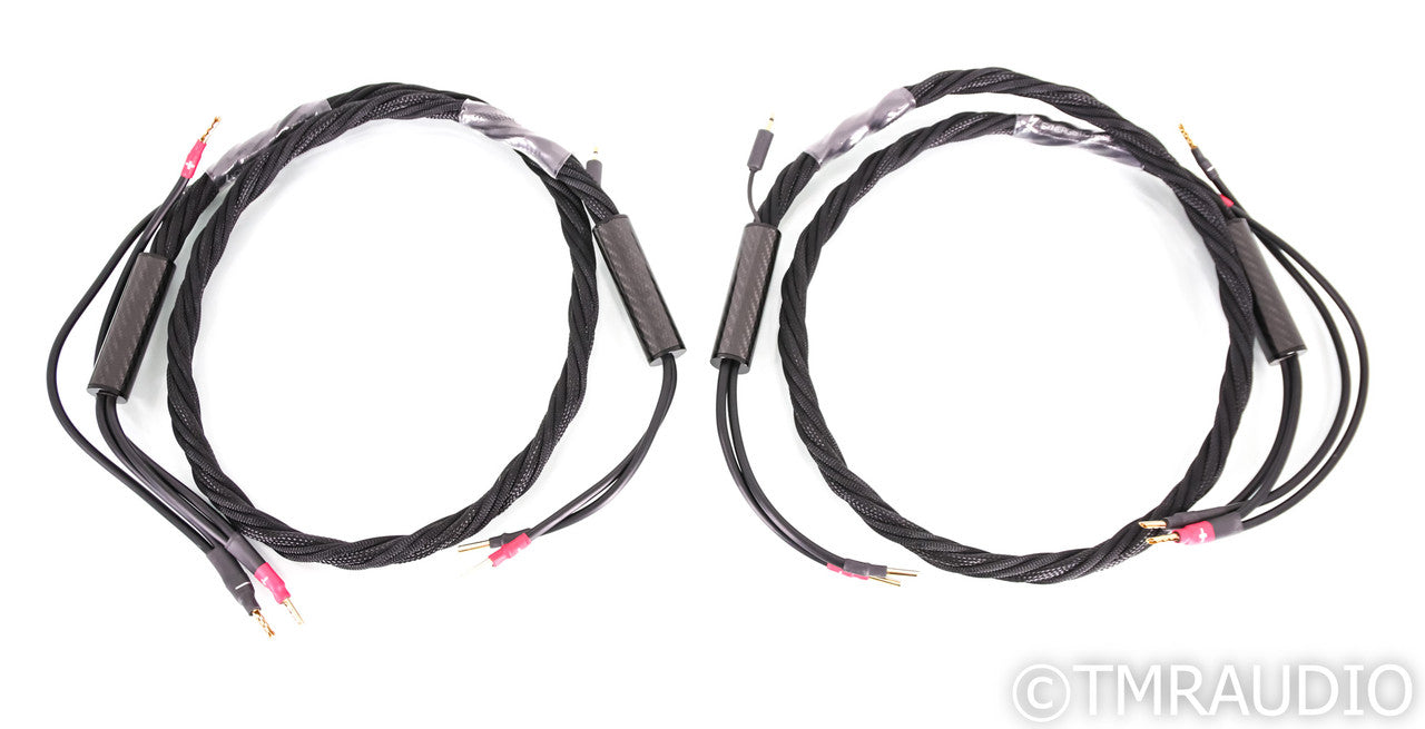 Synergistic Research Atmosphere X Euphoria Speaker Cables; 6ft Pair