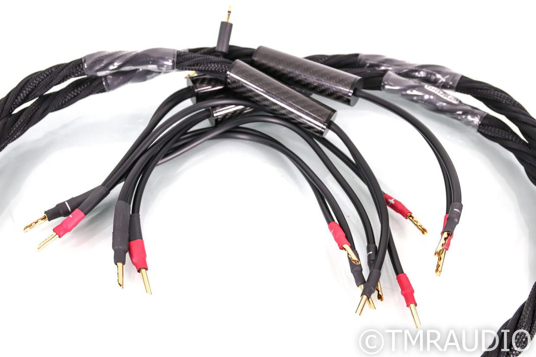 Synergistic Research Atmosphere X Euphoria Speaker Cables; 6ft Pair