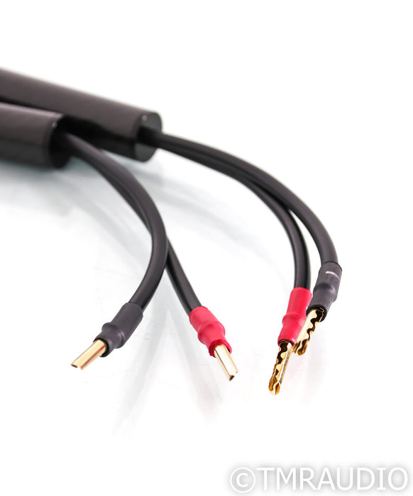 Synergistic Research Atmosphere X Euphoria Speaker Cables; 6ft Pair