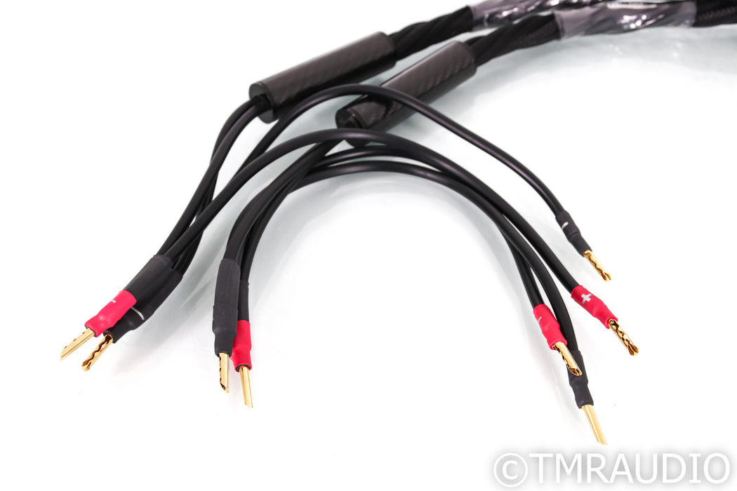 Synergistic Research Atmosphere X Euphoria Speaker Cables; 6ft Pair