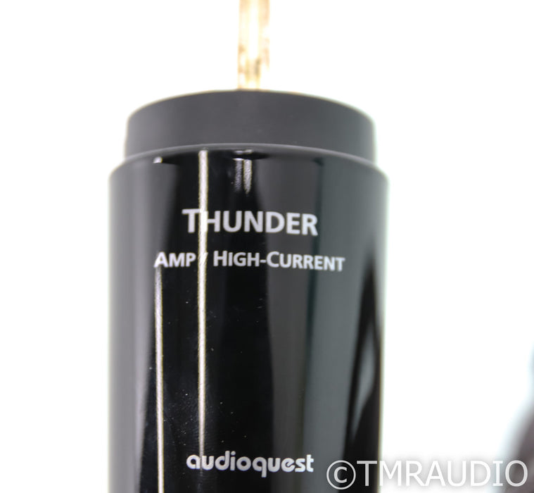 AudioQuest Thunder Power Cable; 2m AC Cord; High Current; C15; 72v DBS