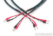 Cardas Parsec Speaker Cables; 4m Pair