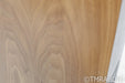 PMC Twenty.24 Floorstanding Speakers; Walnut Pair