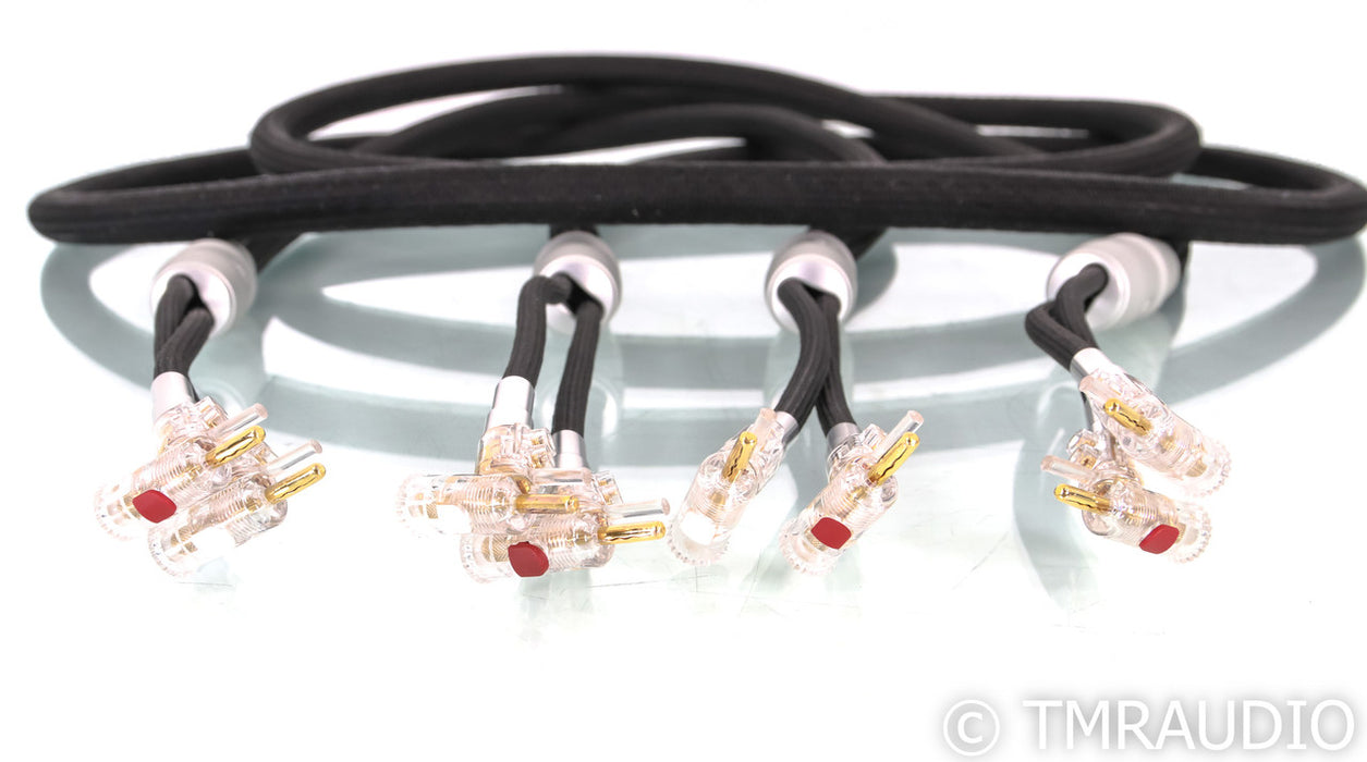 Kimber Kable Carbon 18XL Speaker Cables; 3m Pair (Open Box)