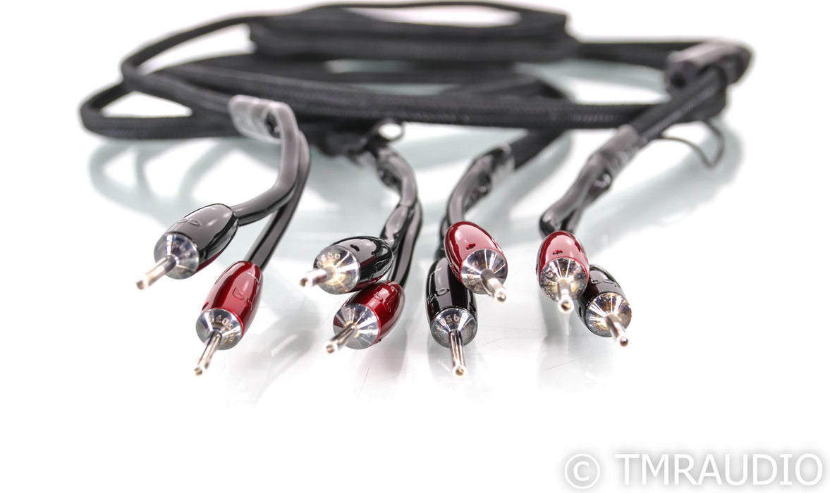 AudioQuest Rocket 88 Speaker Cables; 10ft Pair; 72v DBS