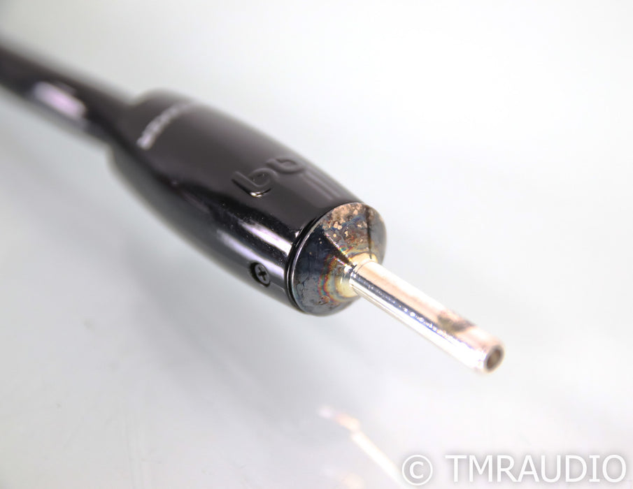 AudioQuest Rocket 88 Speaker Cables; 10ft Pair; 72v DBS
