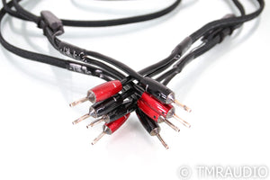 AudioQuest Rocket 88 Speaker Cables; 72v DBS; 10ft Pair