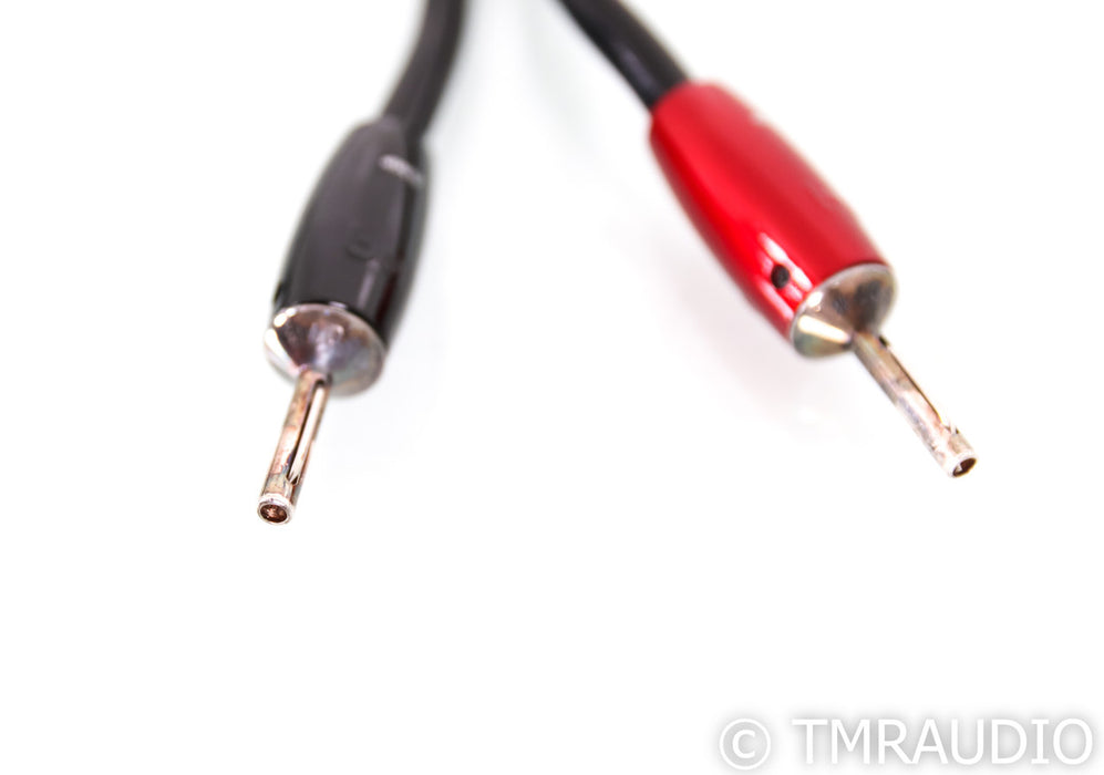 AudioQuest Rocket 88 Speaker Cables; 72v DBS; 10ft Pair