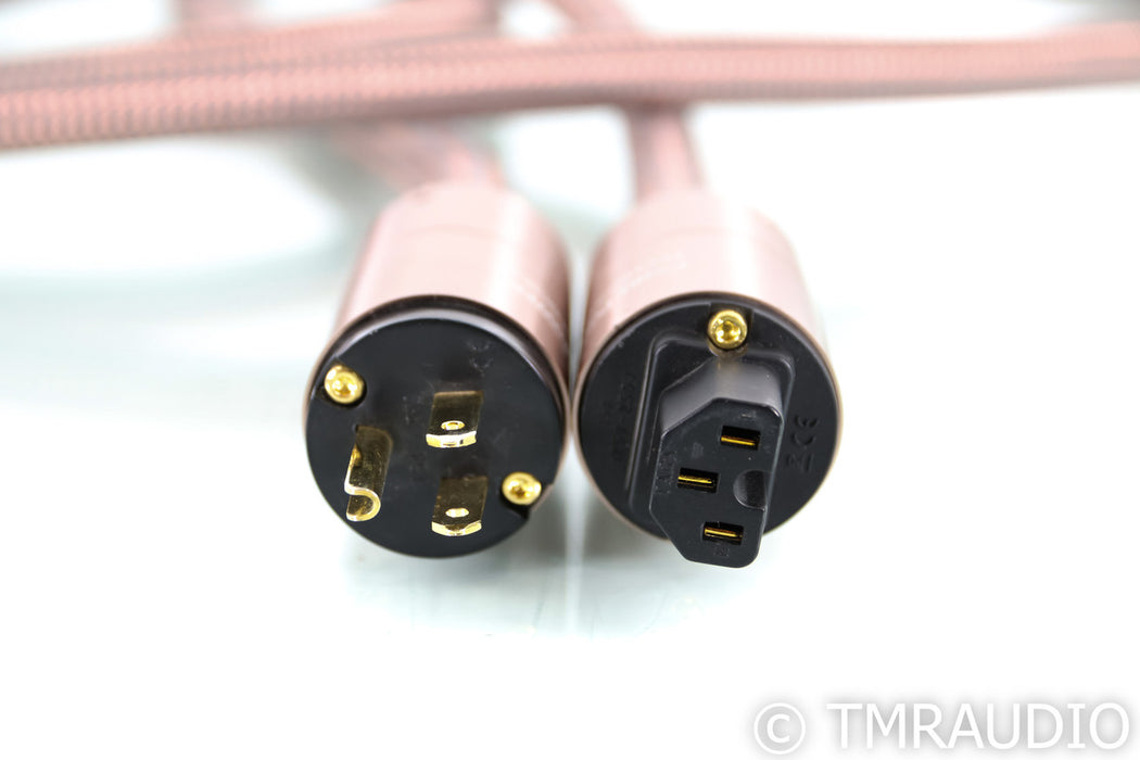 Core Power Technologies Valiant Gold Power Cable; 11.5ft AC Cord