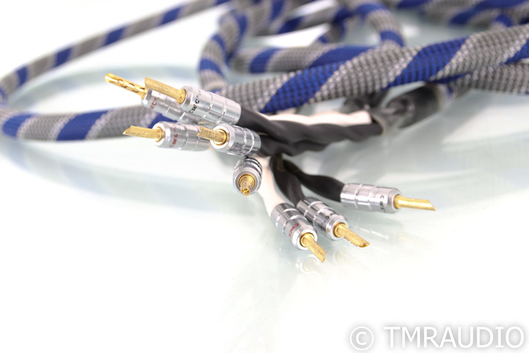 Core Power Technologies Defiant Gold Speaker Cables; 4m Pair