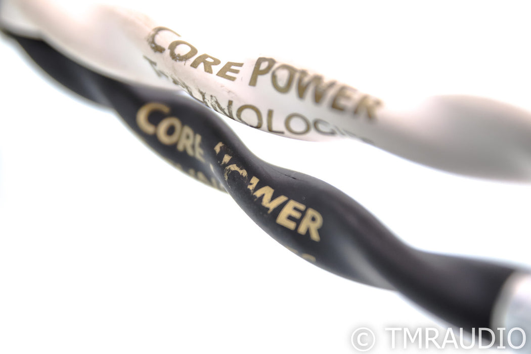 Core Power Technologies Defiant Gold Speaker Cables; 4m Pair