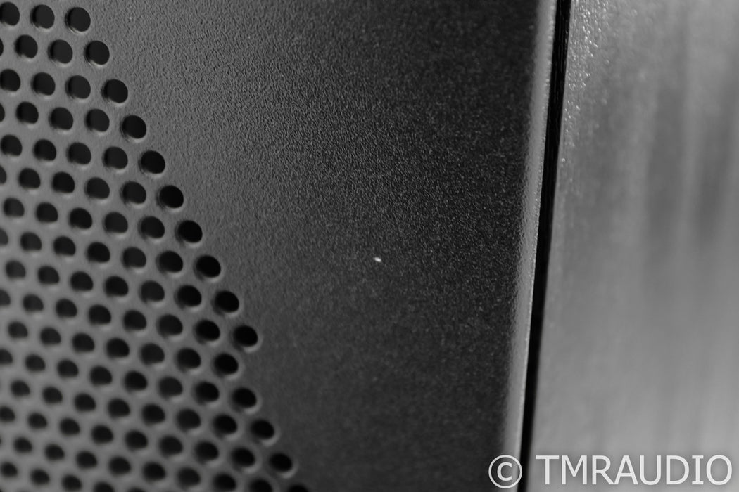 SVS SB-3000 13" Powered Subwoofer; SB3000; Black Ash
