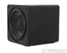 SVS SB-3000 13" Powered Subwoofer; SB3000; Black Ash
