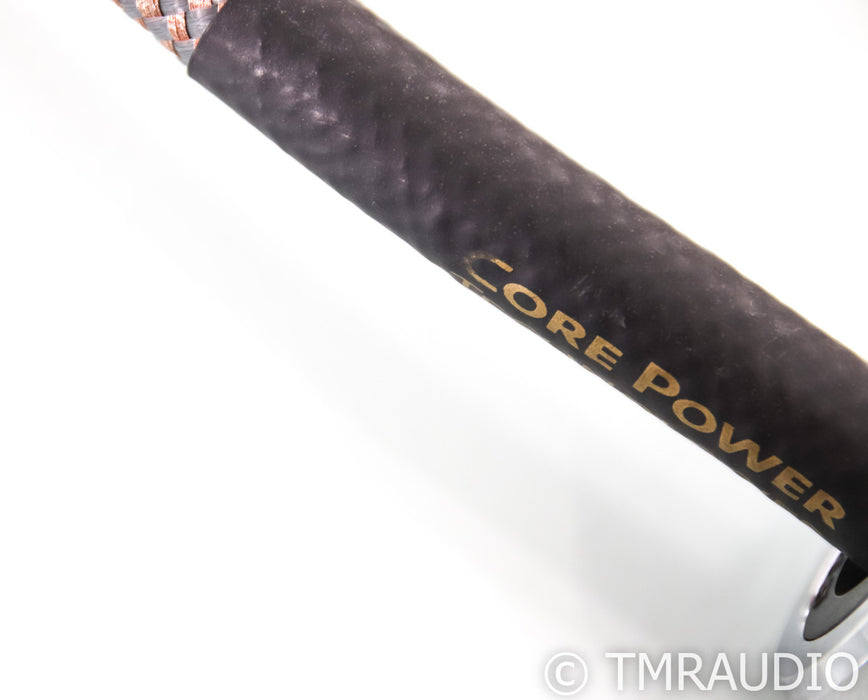Core Power Technologies Valiant Diamond Power Cable; 6ft AC Cord