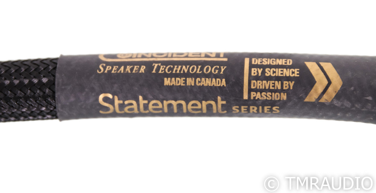 Coincident Speaker Technology Statement Series ST-10 Power Cable; ST10; 6ft AC Cord