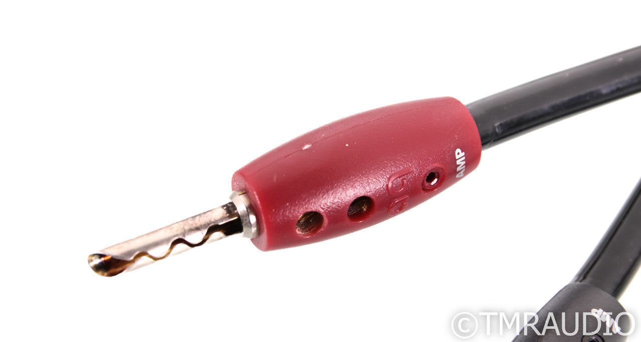 AudioQuest Type-4 Speaker Cables; 8ft Pair