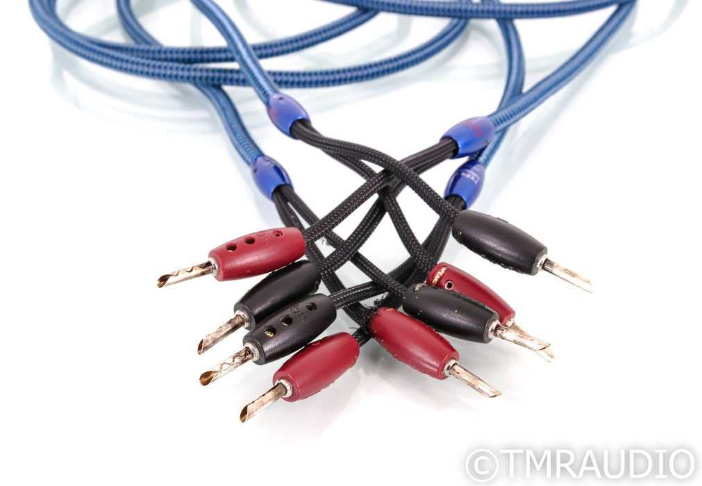 AudioQuest Type-4 Speaker Cables; 8ft Pair