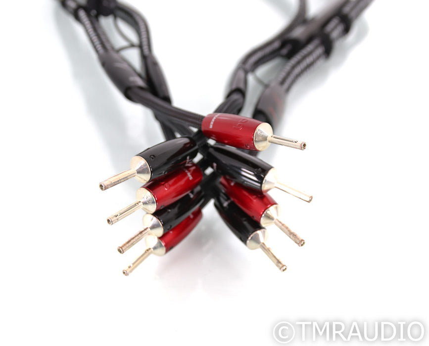 AudioQuest K2 Speaker Cables; 1m Pair; 72v DBS