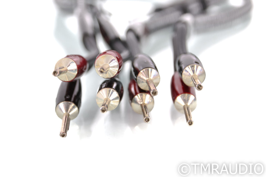AudioQuest K2 Speaker Cables; 1m Pair; 72v DBS