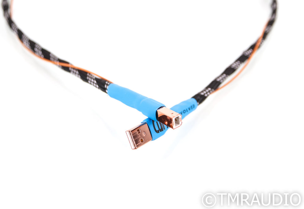 Curious Cables Evolved Regen Link USB Cable; 1m Digital Interconnect