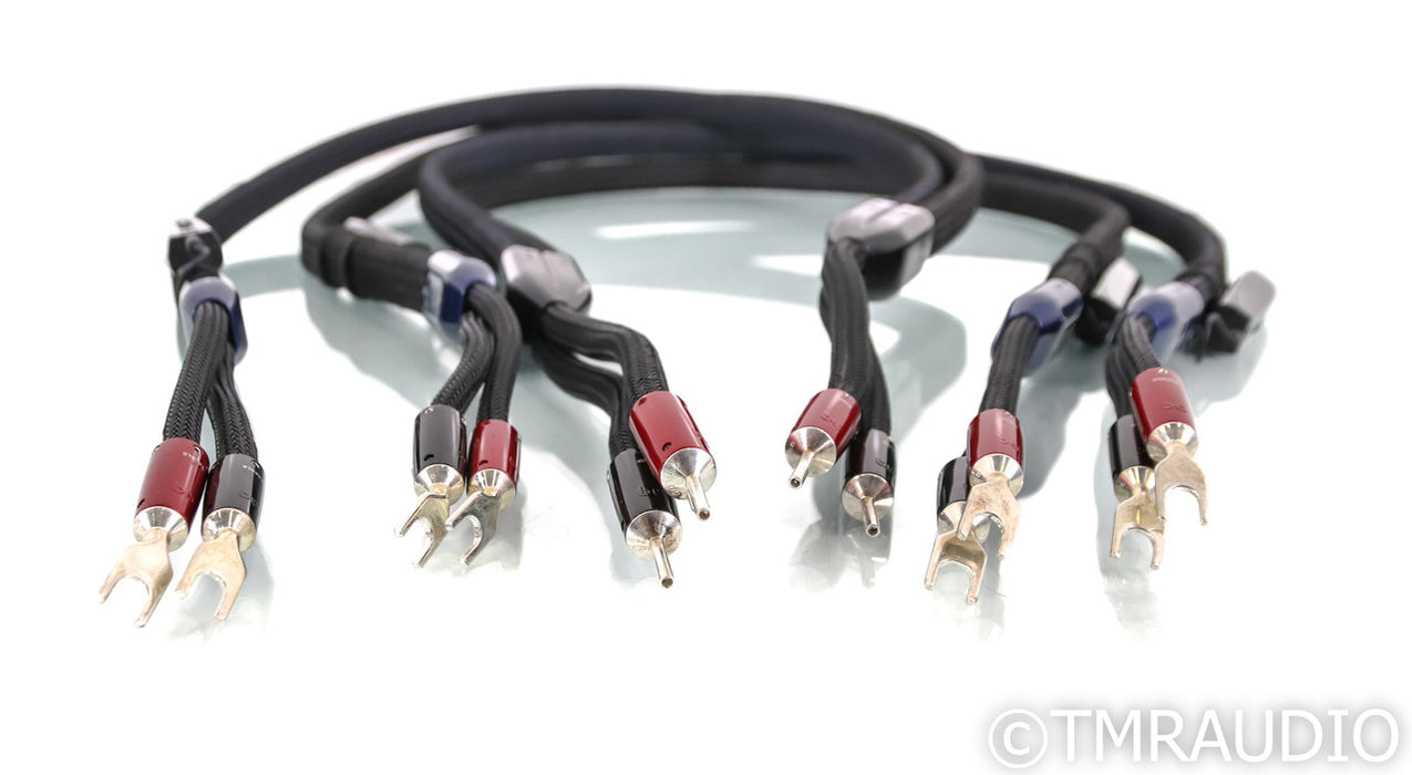AudioQuest ThunderBird Bi-Wire Combo Speaker Cables; 6ft Pair; 72v DBS