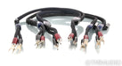 AudioQuest ThunderBird Bi-Wire Combo Speaker Cables; 6ft Pair; 72v DBS