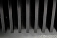 Denafrips Hyperion Stereo Power Amplifier; Black