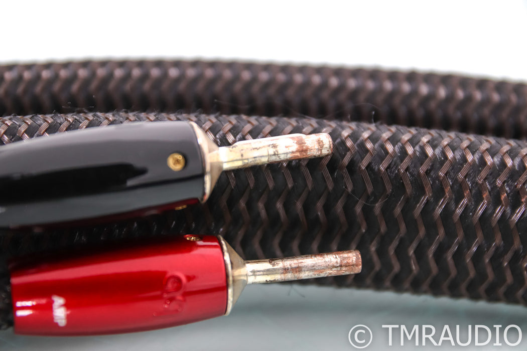 AudioQuest Oak Speaker Cables; 10ft Pair; 72v DBS