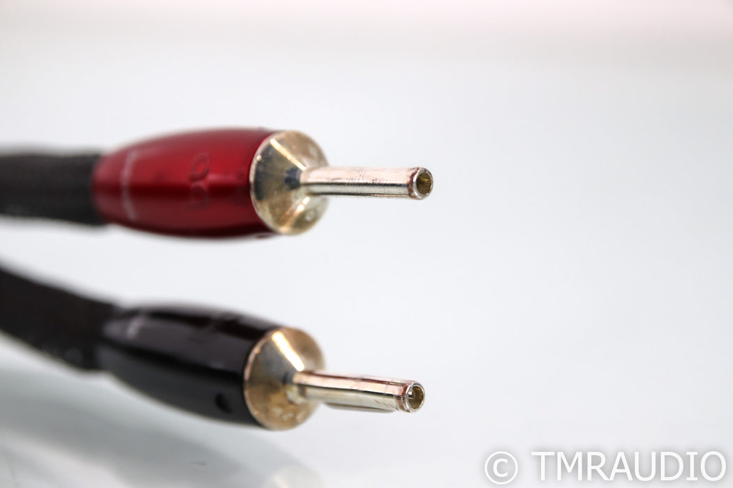 AudioQuest Oak Speaker Cables; 10ft Pair; 72v DBS