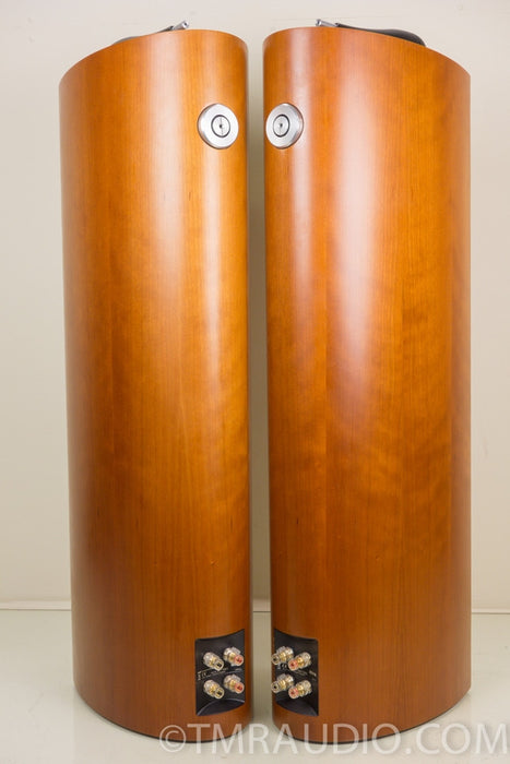 B&W Bowers & Wilkins 804s Speakers
