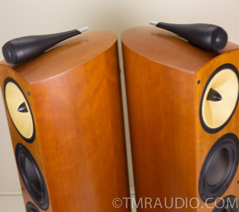 B&W Bowers & Wilkins 804s Speakers