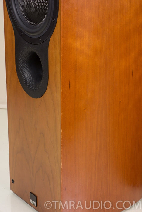 B&W Bowers & Wilkins 804s Speakers