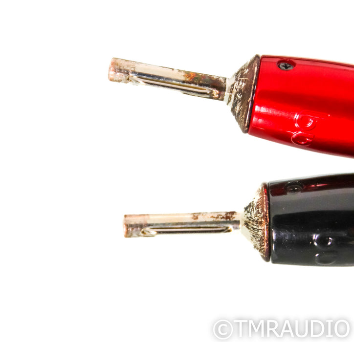 AudioQuest Castle Rock Speaker Cables; 1m Pair; 72v DBS