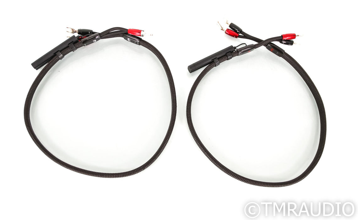 AudioQuest Castle Rock Speaker Cables; 1m Pair; 72v DBS