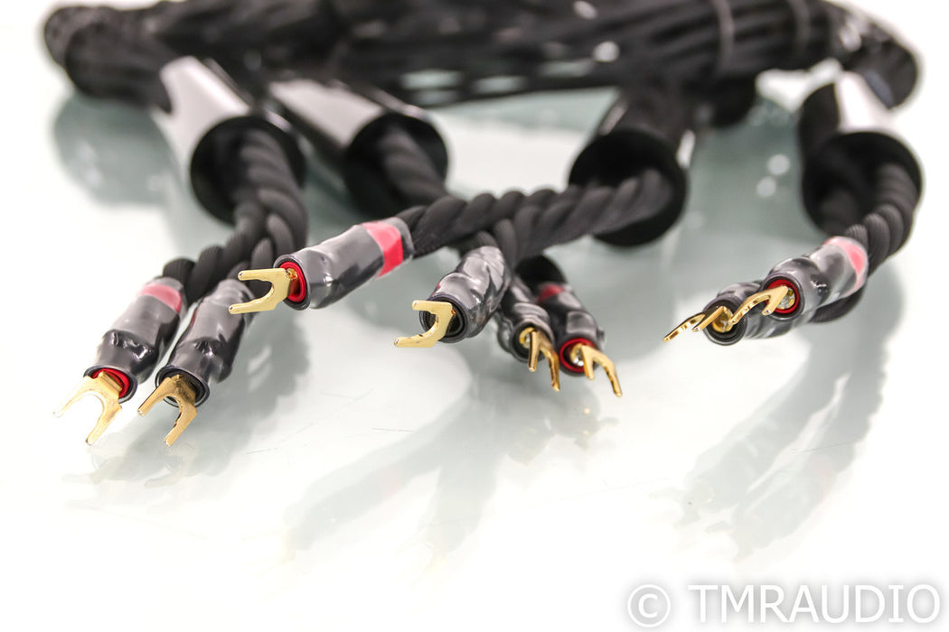 Synergistic Research SRX Speaker Cables; 10ft Pair