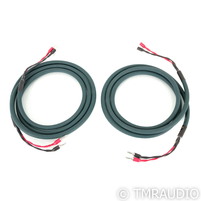 Cardas Parsec Speaker Cables; 2.5m Pair
