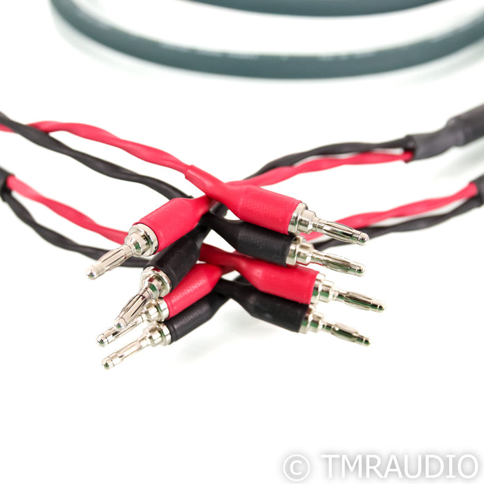 Cardas Parsec Speaker Cables; 2.5m Pair