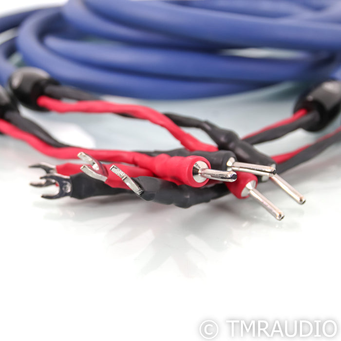 Cardas Audio Clear Cygnus Speaker cables; 2.5m Pair