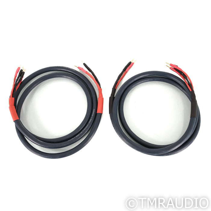 AudioQuest Midnight 3 Hyperlitz Bi-Wire Speaker Cables; 8ft Pair