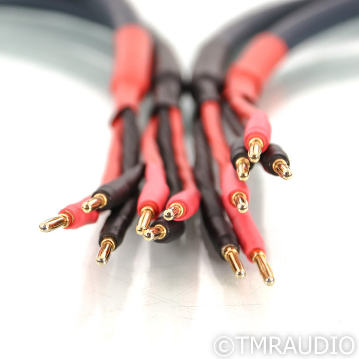 AudioQuest Midnight 3 Hyperlitz Bi-Wire Speaker Cables; 8ft Pair