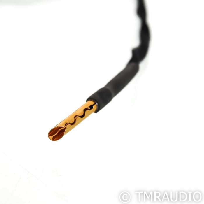 CAD Ground Control Cable; 1.4m; US Mains Power