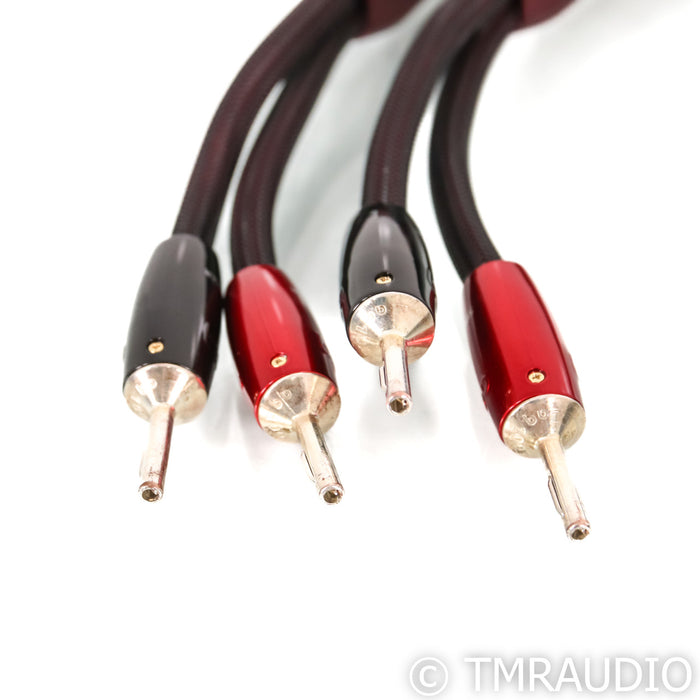 AudioQuest William Tell ZERO Speaker Cables; 10ft Pair;,72v DBS