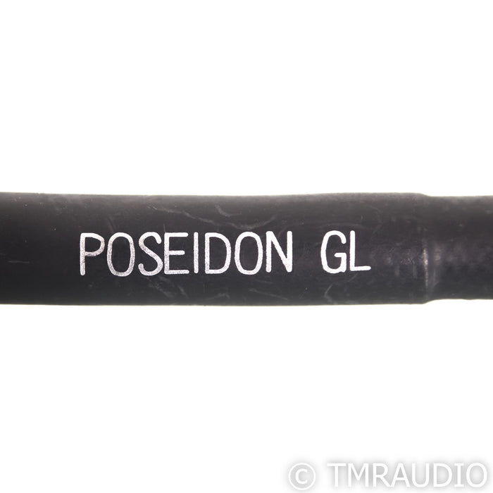 Silnote Audio Poseidon GL Reference Power Cable; 1m AC Cord