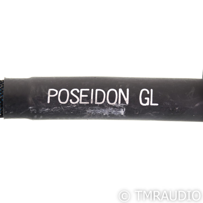 Silnote Audio Poseidon GL Reference Power Cable; 1.5m AC Cord