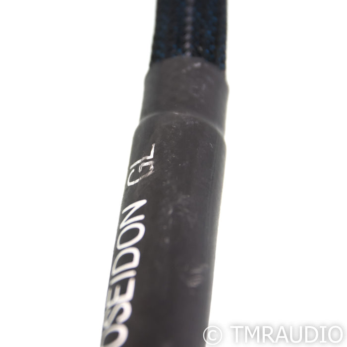 Silnote Audio Poseidon GL Reference Power Cable; 1.5m AC Cord