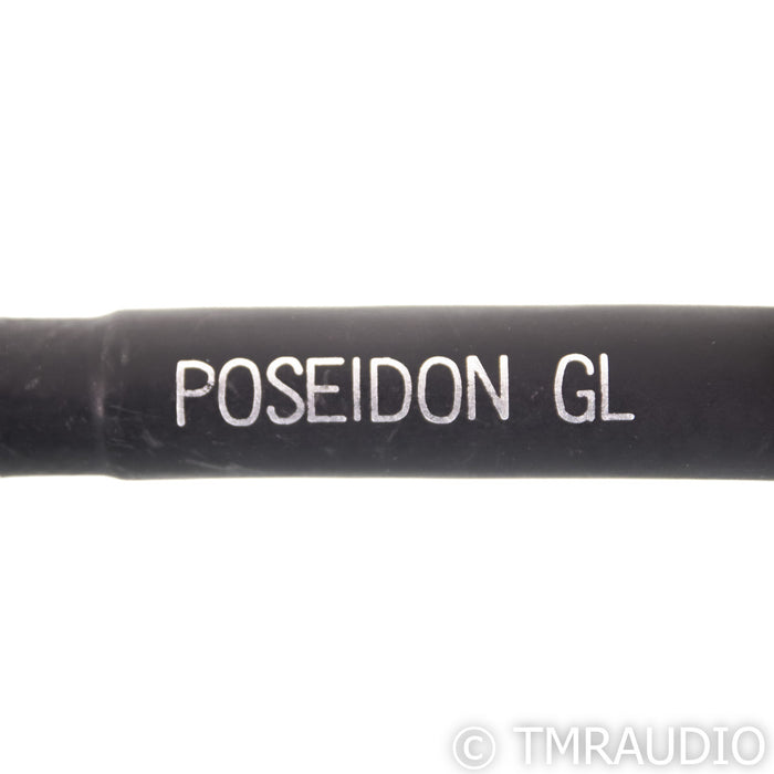 Silnote Audio Poseidon GL Reference Power Cable; 1.5m AC Cord