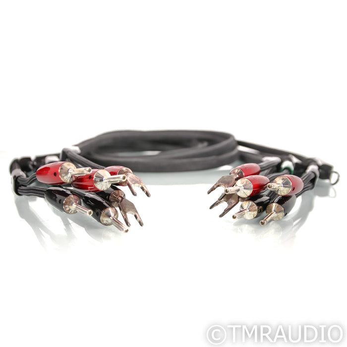 AudioQuest Robin Hood ZERO Bi-Wire Combo Speaker Cables; 8ft Pair; ZERO + BASS; 72v DBS