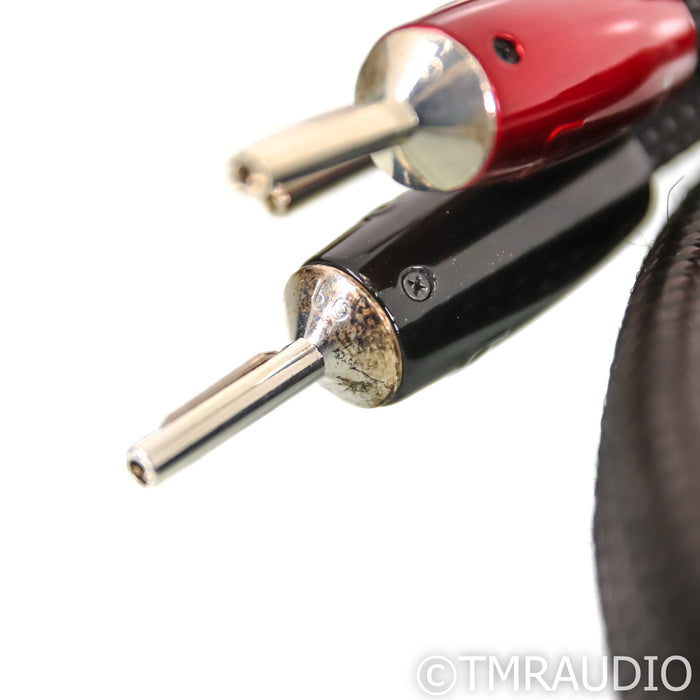 AudioQuest Castle Rock Bi-Wire Speaker Cables; 8ft Pair; 72v DBS