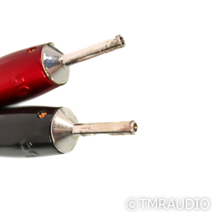 AudioQuest Castle Rock Bi-Wire Speaker Cables; 8ft Pair; 72v DBS